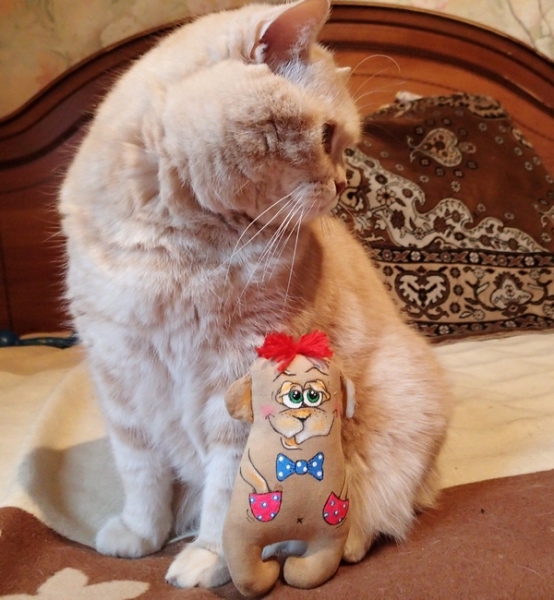 Поговорим о кошках36