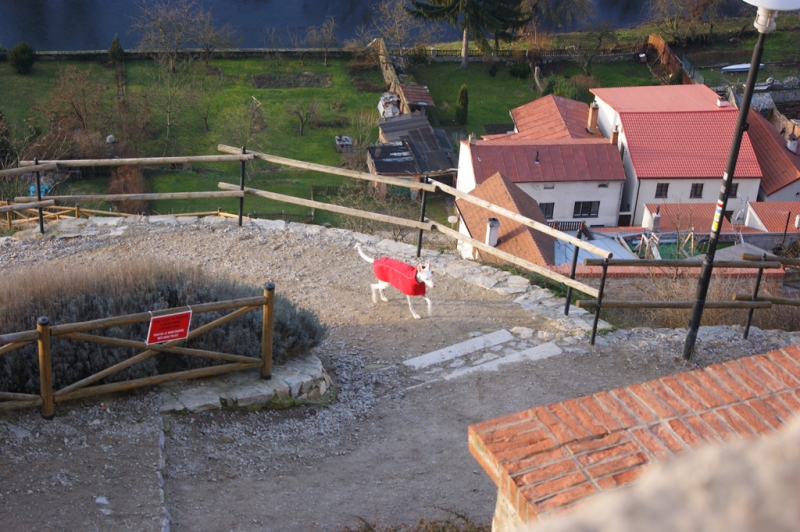 Новогоднее путешествие по городам Европы - 2015