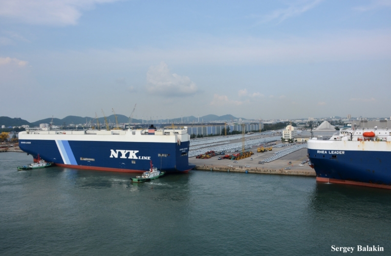 Азиадские штучки Queen-pig, тук-тук и хот-дог по-хайнаньски в круизе Voyager of the Seas