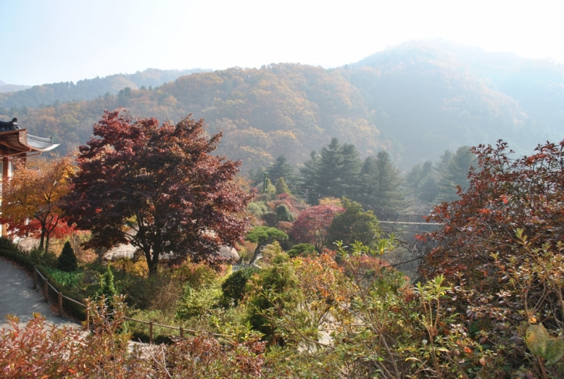 Южная Корея. Чеджу-Пусан-Кёнджу-Сеул 26 октября- 8 ноября 2015