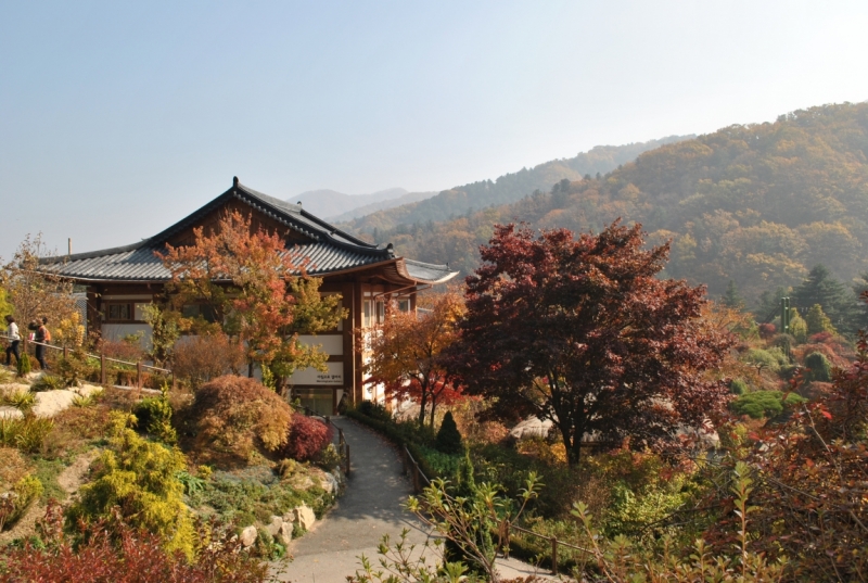 Южная Корея. Чеджу-Пусан-Кёнджу-Сеул 26 октября- 8 ноября 2015