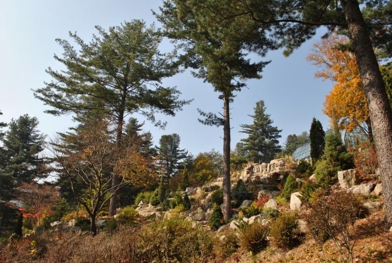 Южная Корея. Чеджу-Пусан-Кёнджу-Сеул 26 октября- 8 ноября 2015