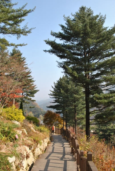 Южная Корея. Чеджу-Пусан-Кёнджу-Сеул 26 октября- 8 ноября 2015