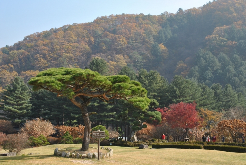 Южная Корея. Чеджу-Пусан-Кёнджу-Сеул 26 октября- 8 ноября 2015