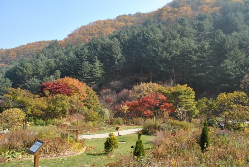 Южная Корея. Чеджу-Пусан-Кёнджу-Сеул 26 октября- 8 ноября 2015