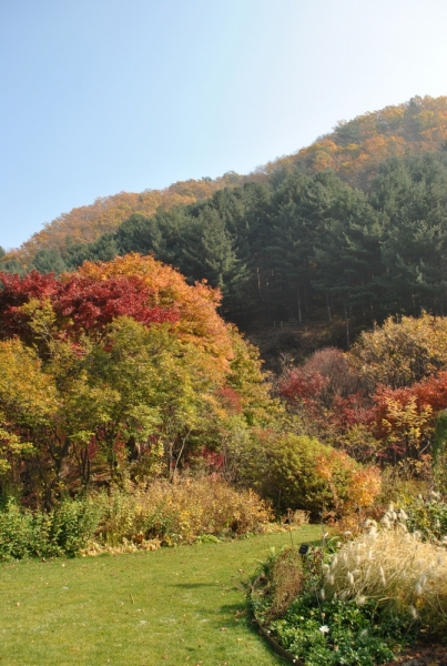 Южная Корея. Чеджу-Пусан-Кёнджу-Сеул 26 октября- 8 ноября 2015