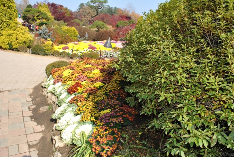 Южная Корея. Чеджу-Пусан-Кёнджу-Сеул 26 октября- 8 ноября 2015