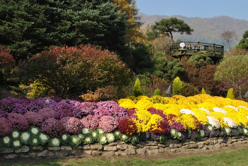 Южная Корея. Чеджу-Пусан-Кёнджу-Сеул 26 октября- 8 ноября 2015