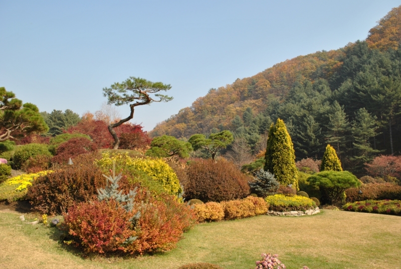 Южная Корея. Чеджу-Пусан-Кёнджу-Сеул 26 октября- 8 ноября 2015