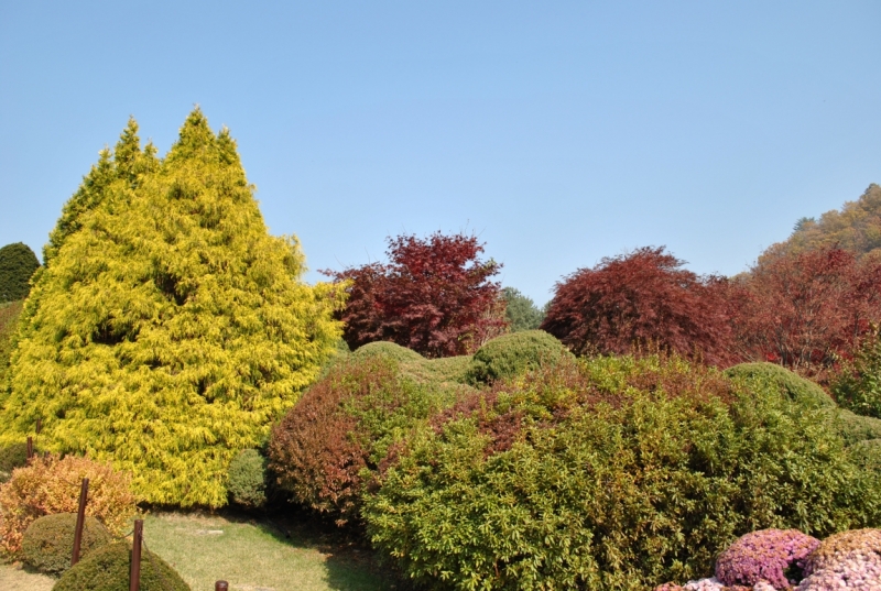 Южная Корея. Чеджу-Пусан-Кёнджу-Сеул 26 октября- 8 ноября 2015