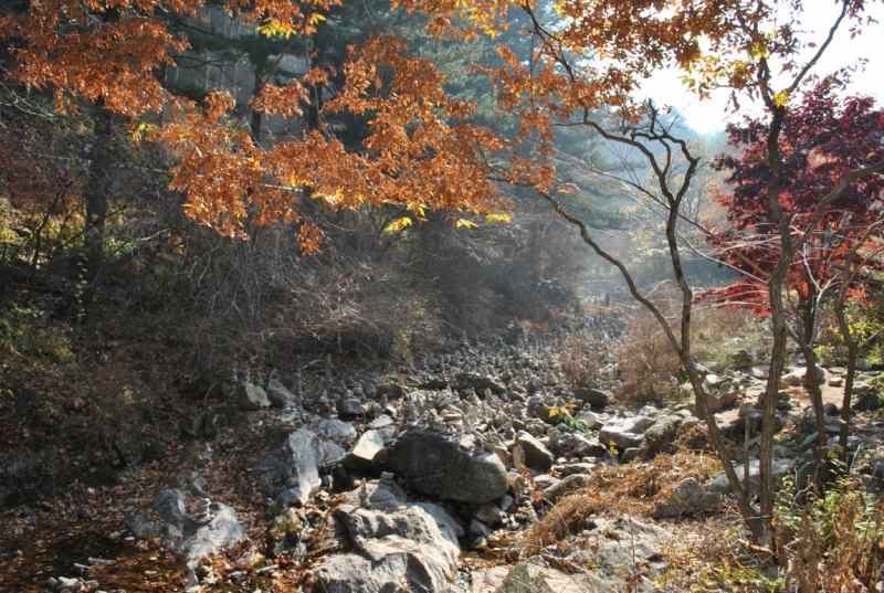 Южная Корея. Чеджу-Пусан-Кёнджу-Сеул 26 октября- 8 ноября 2015