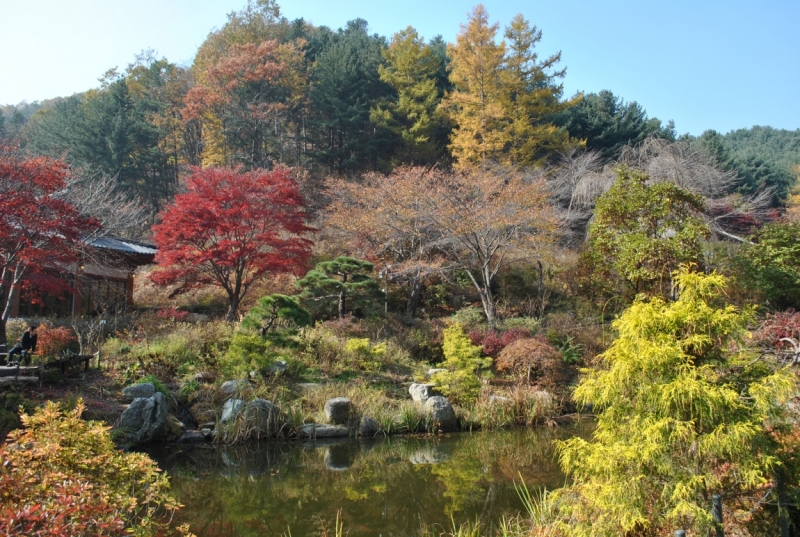 Южная Корея. Чеджу-Пусан-Кёнджу-Сеул 26 октября- 8 ноября 2015