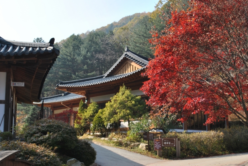 Южная Корея. Чеджу-Пусан-Кёнджу-Сеул 26 октября- 8 ноября 2015