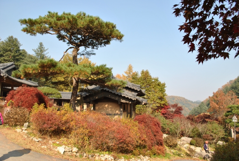 Южная Корея. Чеджу-Пусан-Кёнджу-Сеул 26 октября- 8 ноября 2015