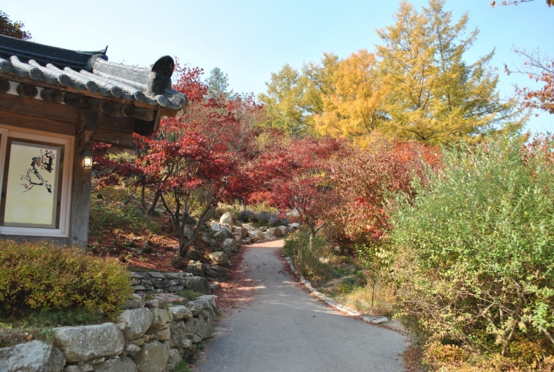 Южная Корея. Чеджу-Пусан-Кёнджу-Сеул 26 октября- 8 ноября 2015