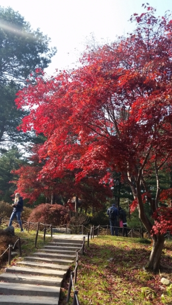 Южная Корея. Чеджу-Пусан-Кёнджу-Сеул 26 октября- 8 ноября 2015