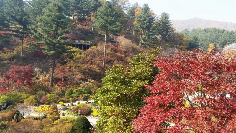 Южная Корея. Чеджу-Пусан-Кёнджу-Сеул 26 октября- 8 ноября 2015