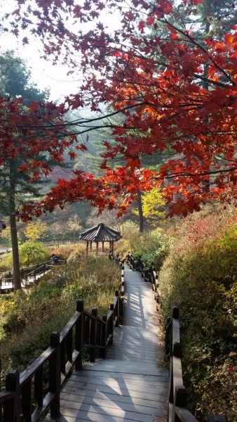 Южная Корея. Чеджу-Пусан-Кёнджу-Сеул 26 октября- 8 ноября 2015