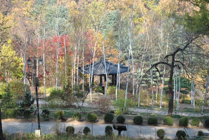 Южная Корея. Чеджу-Пусан-Кёнджу-Сеул 26 октября- 8 ноября 2015