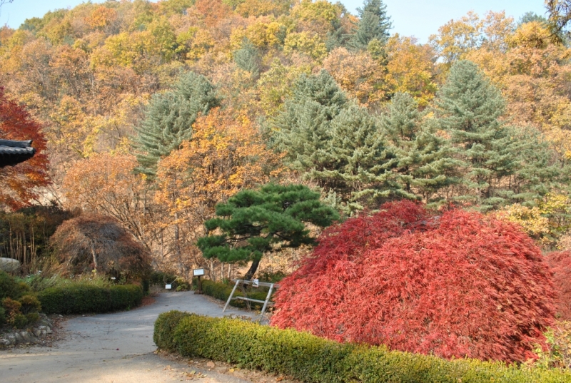 Южная Корея. Чеджу-Пусан-Кёнджу-Сеул 26 октября- 8 ноября 2015
