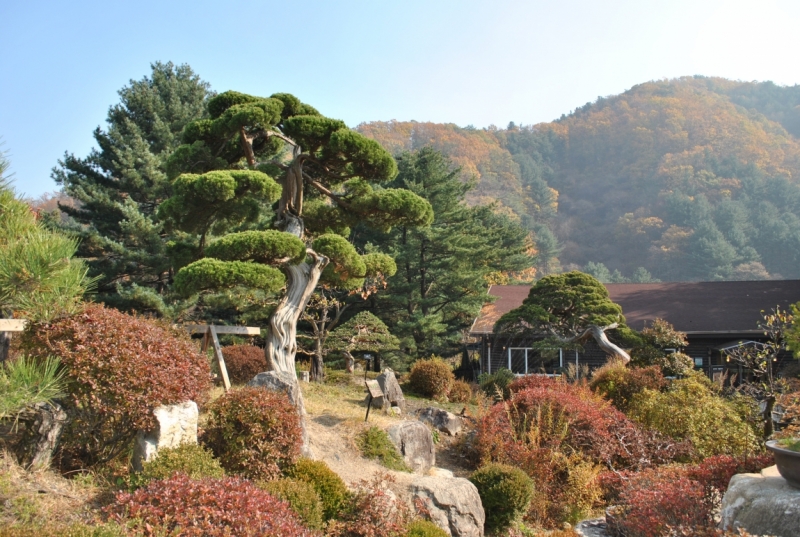 Южная Корея. Чеджу-Пусан-Кёнджу-Сеул 26 октября- 8 ноября 2015