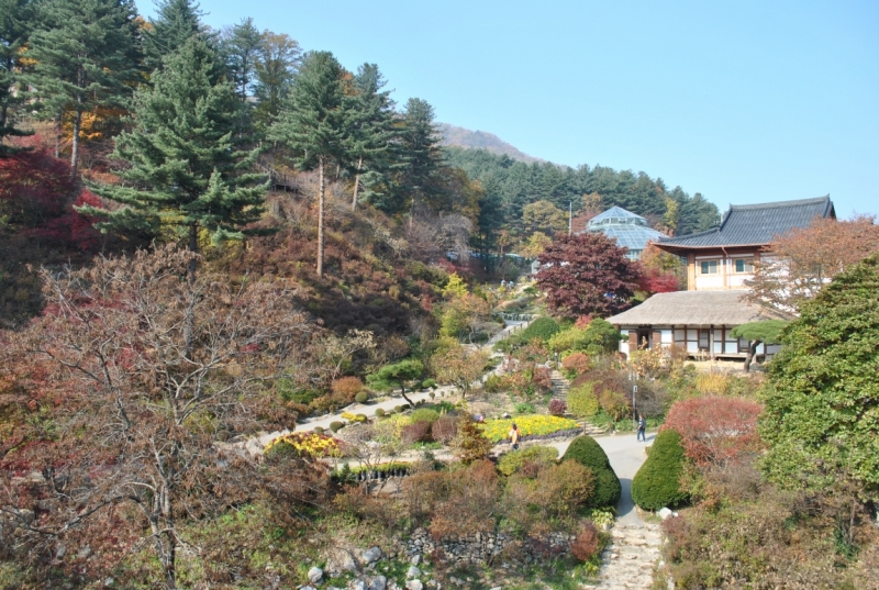 Южная Корея. Чеджу-Пусан-Кёнджу-Сеул 26 октября- 8 ноября 2015