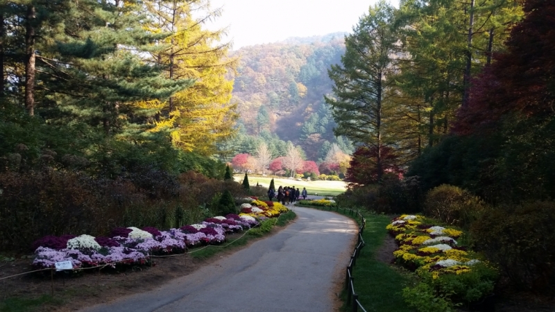 Южная Корея. Чеджу-Пусан-Кёнджу-Сеул 26 октября- 8 ноября 2015