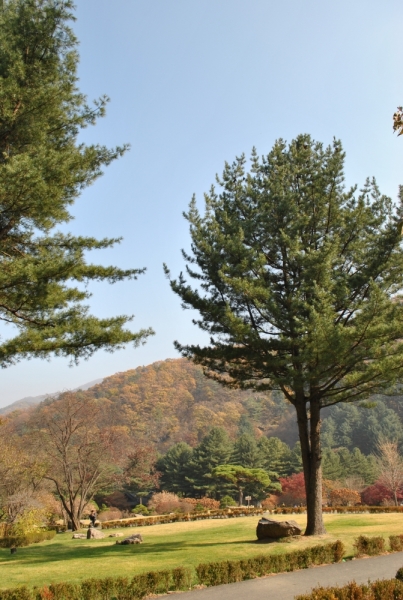 Южная Корея. Чеджу-Пусан-Кёнджу-Сеул 26 октября- 8 ноября 2015