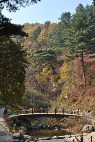 Южная Корея. Чеджу-Пусан-Кёнджу-Сеул 26 октября- 8 ноября 2015