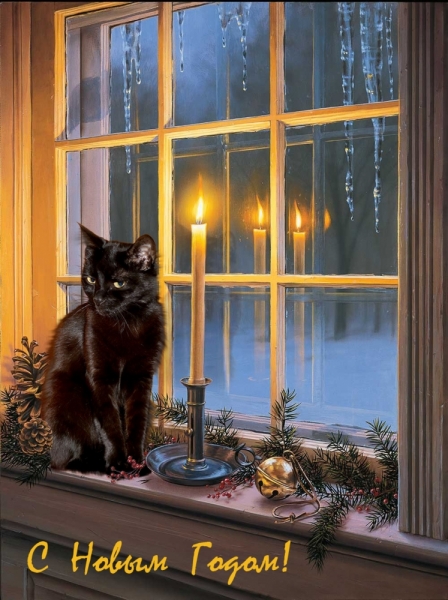 Поговорим о кошках36