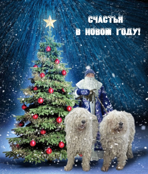 Поговорим о кошках36