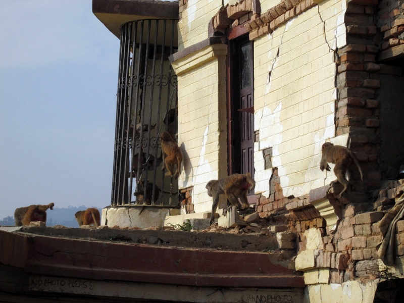 Повезло с погодой в ноябре 2015 на треке к АВС. Фотоотчет.