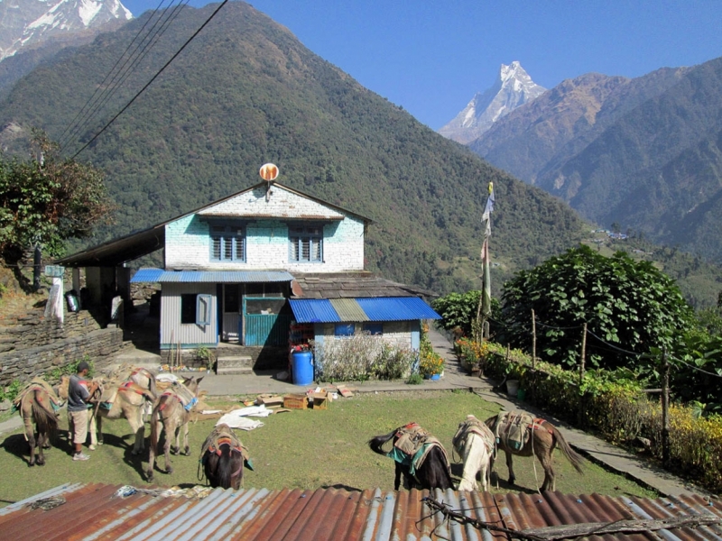 Повезло с погодой в ноябре 2015 на треке к АВС. Фотоотчет.
