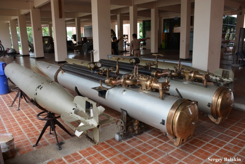 Азиадские штучки Queen-pig, тук-тук и хот-дог по-хайнаньски в круизе Voyager of the Seas