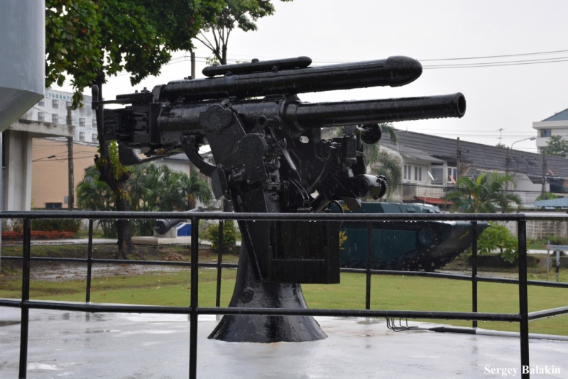 Азиадские штучки Queen-pig, тук-тук и хот-дог по-хайнаньски в круизе Voyager of the Seas