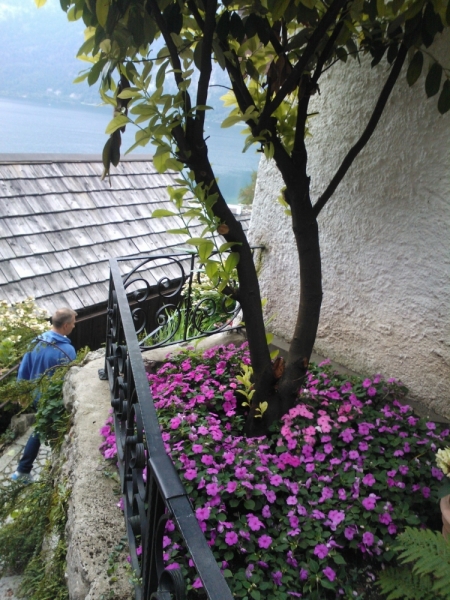 Германия-Франция-Австрия. Сбывшиеся мечты