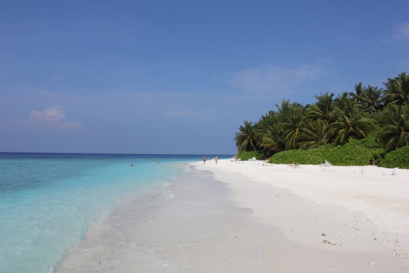 Мальдивы бюджетно из Санкт-Петербурга. Fihalhohi Island Resort с Emirates.