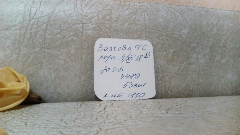 Поговорим о кошках36