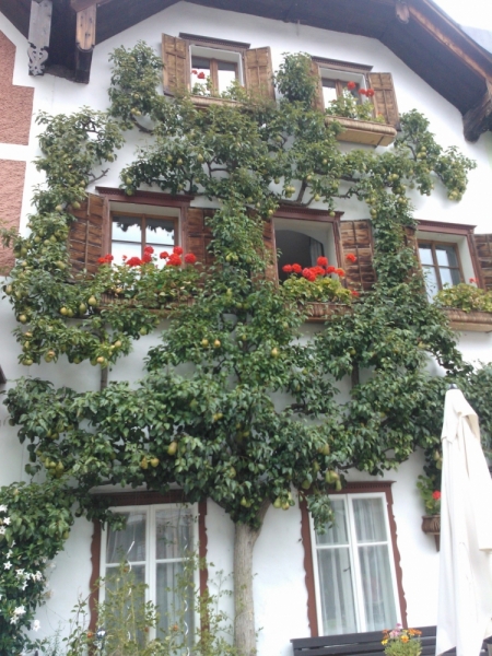 Германия-Франция-Австрия. Сбывшиеся мечты