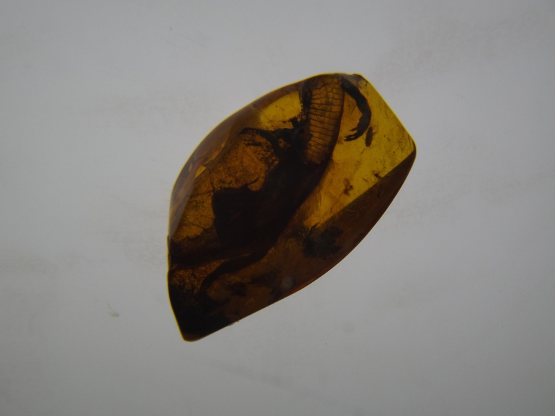 Основные достопримечательности Калининграда за 4 сентябрьских дня «по-бедному». 2015.