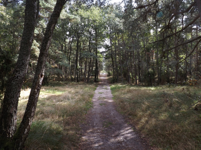 Основные достопримечательности Калининграда за 4 сентябрьских дня «по-бедному». 2015.