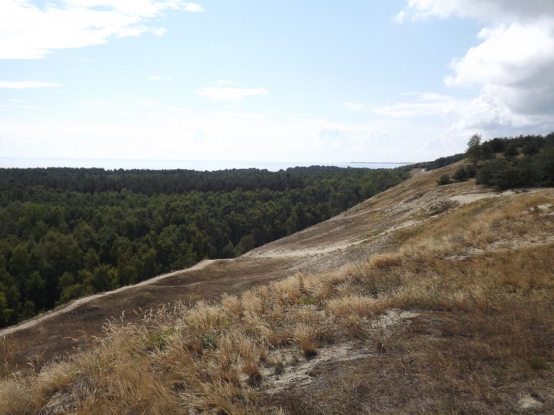 Основные достопримечательности Калининграда за 4 сентябрьских дня «по-бедному». 2015.