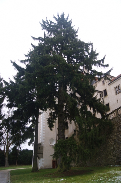 Новогоднее путешествие по городам Европы - 2015