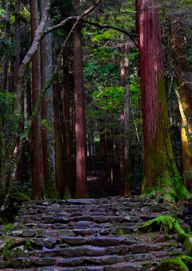 Лучшие достопримечательности Японии в сезон момидзи: Tokyo-Nagoya(Obara,Korankei)-Kyoto-Nara-Osaka