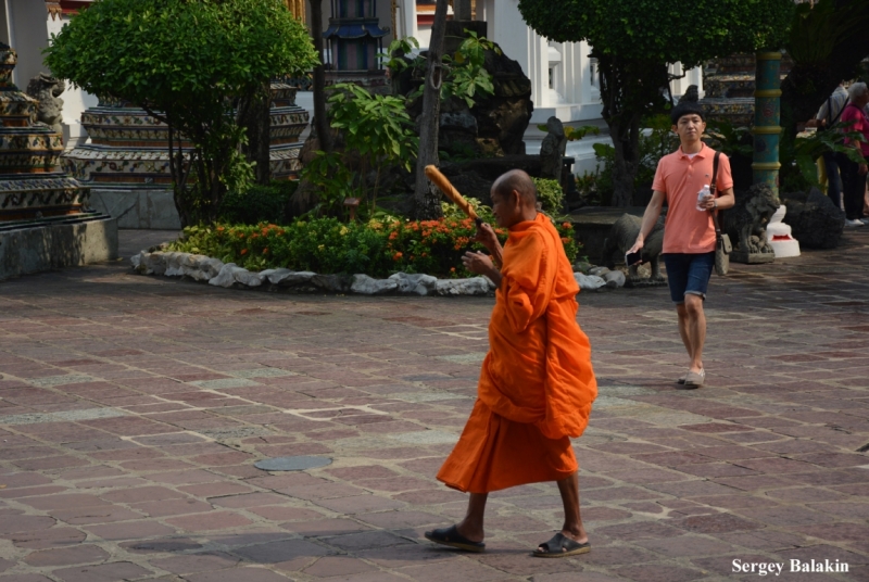 Азиадские штучки Queen-pig, тук-тук и хот-дог по-хайнаньски в круизе Voyager of the Seas