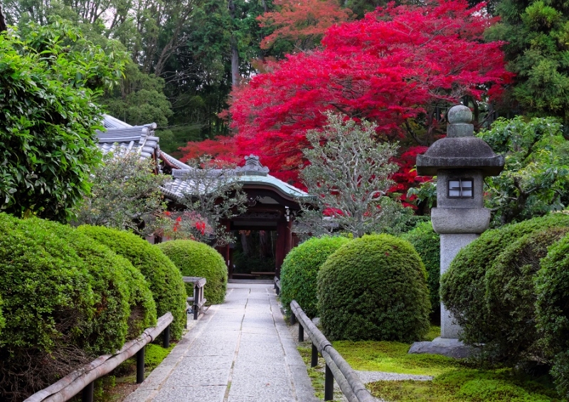 Лучшие достопримечательности Японии в сезон момидзи: Tokyo-Nagoya(Obara,Korankei)-Kyoto-Nara-Osaka