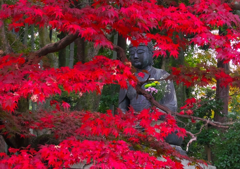 Лучшие достопримечательности Японии в сезон момидзи: Tokyo-Nagoya(Obara,Korankei)-Kyoto-Nara-Osaka