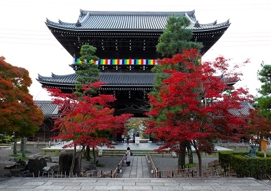 Лучшие достопримечательности Японии в сезон момидзи: Tokyo-Nagoya(Obara,Korankei)-Kyoto-Nara-Osaka