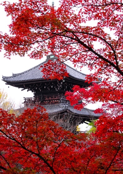 Лучшие достопримечательности Японии в сезон момидзи: Tokyo-Nagoya(Obara,Korankei)-Kyoto-Nara-Osaka