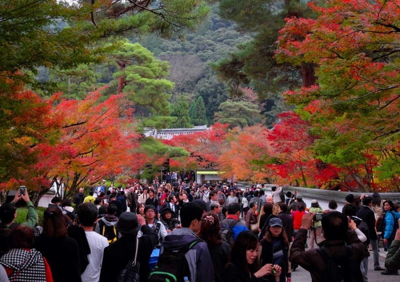 Лучшие достопримечательности Японии в сезон момидзи: Tokyo-Nagoya(Obara,Korankei)-Kyoto-Nara-Osaka